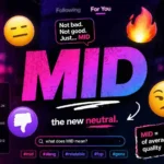 mid meaning slang