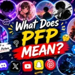 pfp mean
