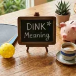 dink meaning