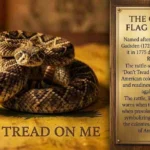 dont tread on me meaning