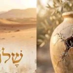 shalom meaning