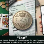 skat meaning