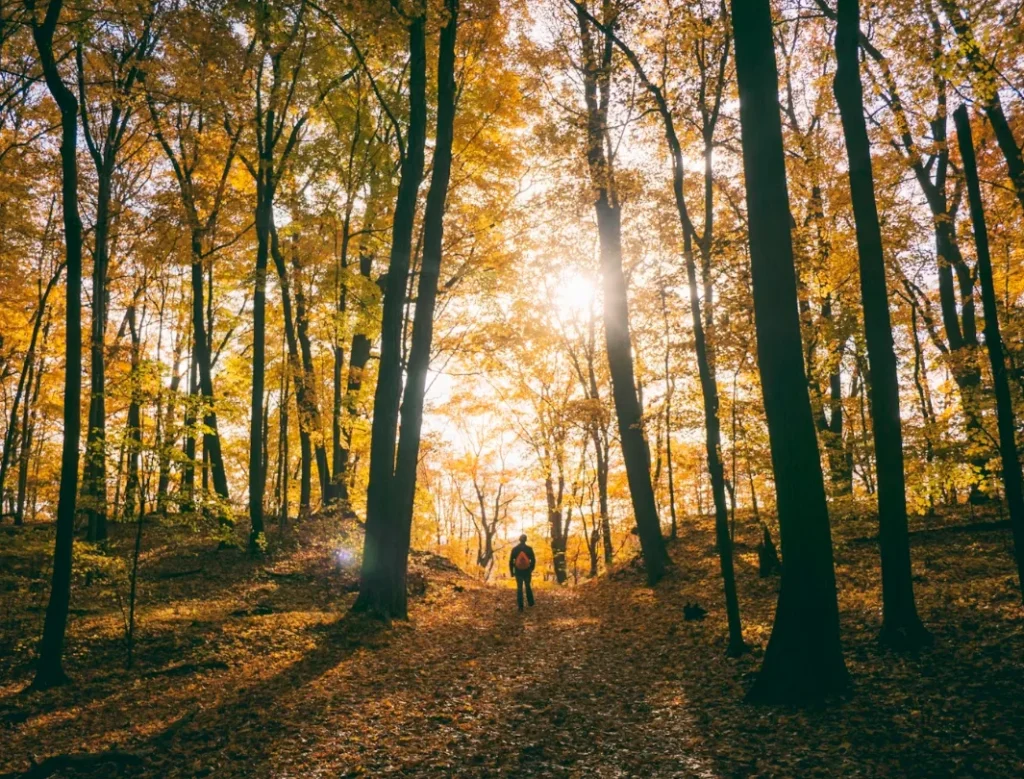 How Luxury Substance Abuse Treatment Uses Nature in Healing
