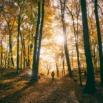 How Luxury Substance Abuse Treatment Uses Nature in Healing
