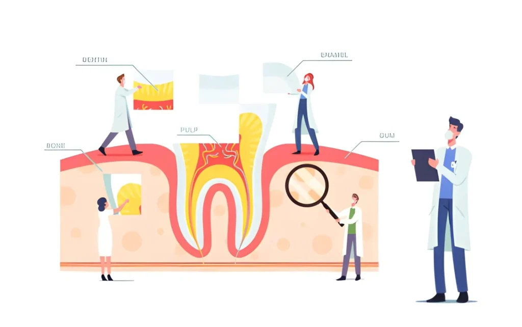 A Complete Guide to Root Canal Therapy from Diagnosis to Final Restoration