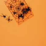 Why Your Huntington Beach Patio Attracts Spiders Every Fall (and How to Stop It)
