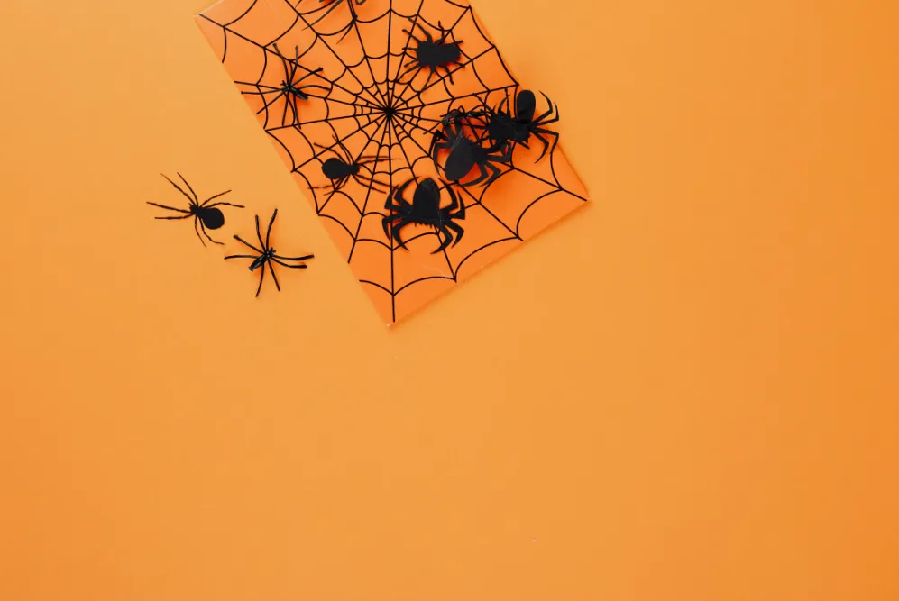 Why Your Huntington Beach Patio Attracts Spiders Every Fall (and How to Stop It)